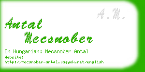 antal mecsnober business card